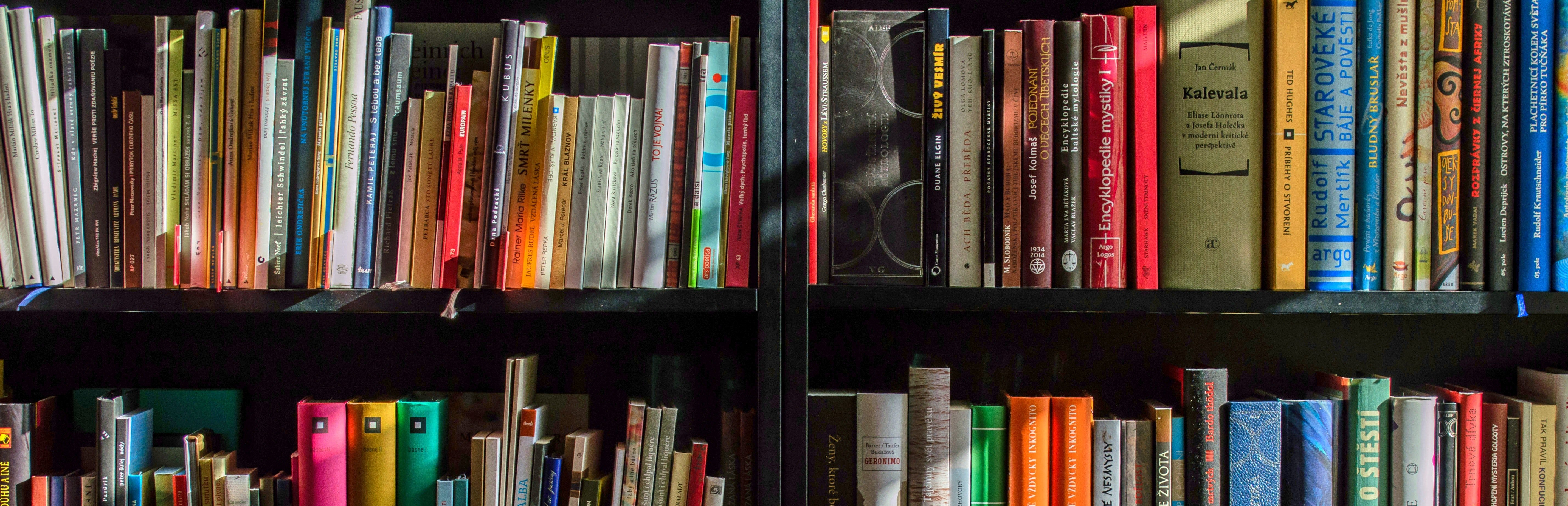 Image of Books on a Shelf