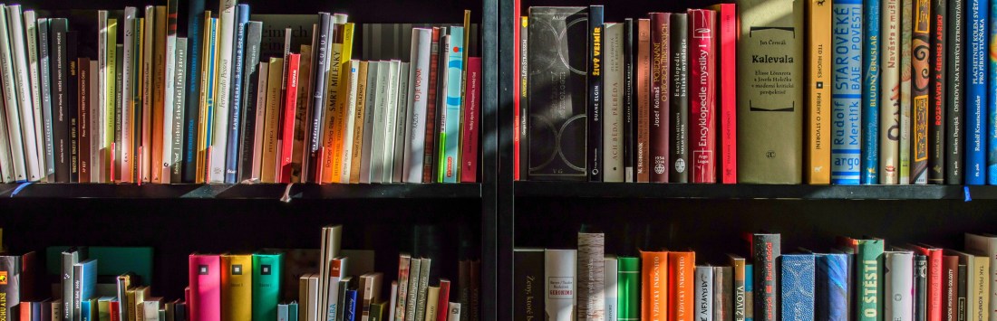 Image of Books on a Shelf